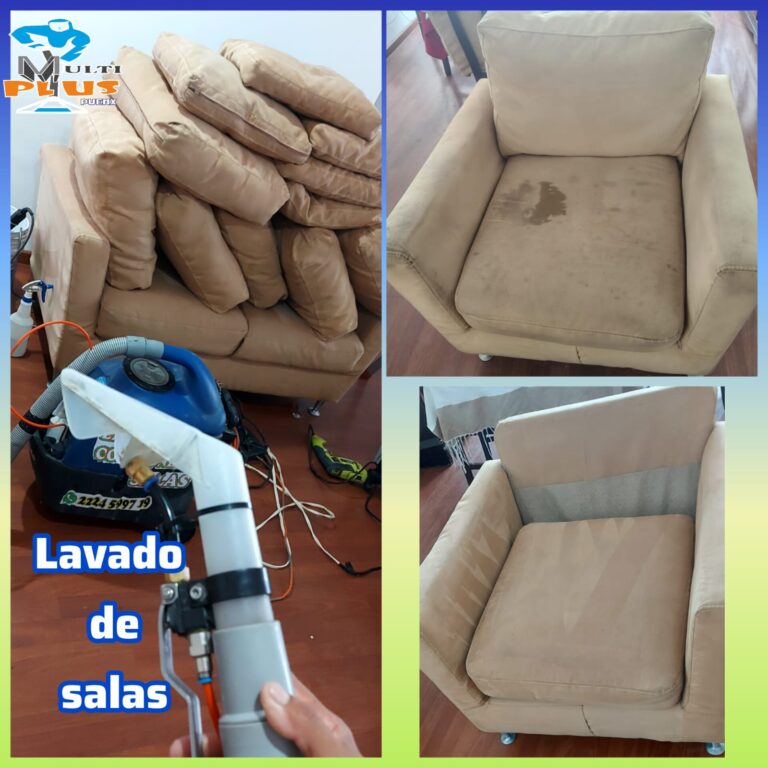 LAVADO DE SILLONES.